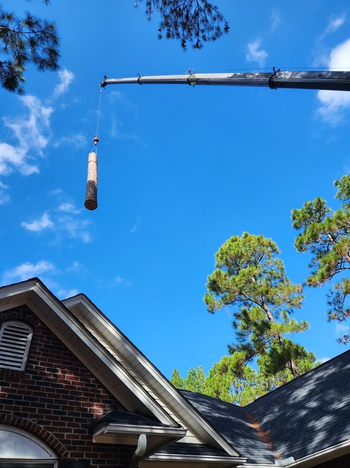 Epic Tree Trim crane lowering a large tree section beside a home