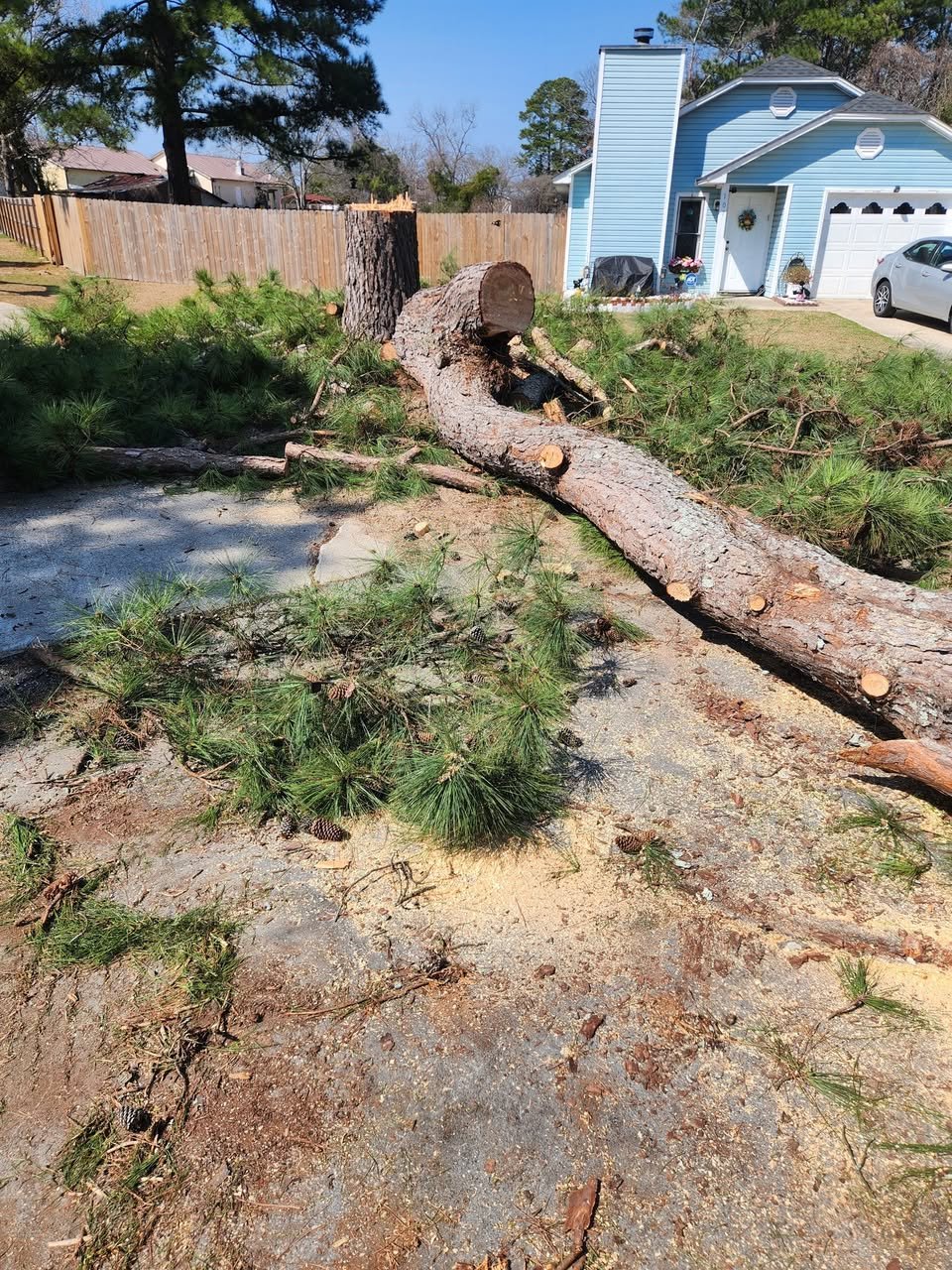 Driveway root damage removal