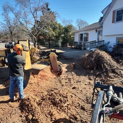 Epic Tree Trim equipment removing a stump and roots