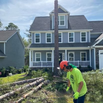 Epic Tree Trim crew removing a tree beside a home