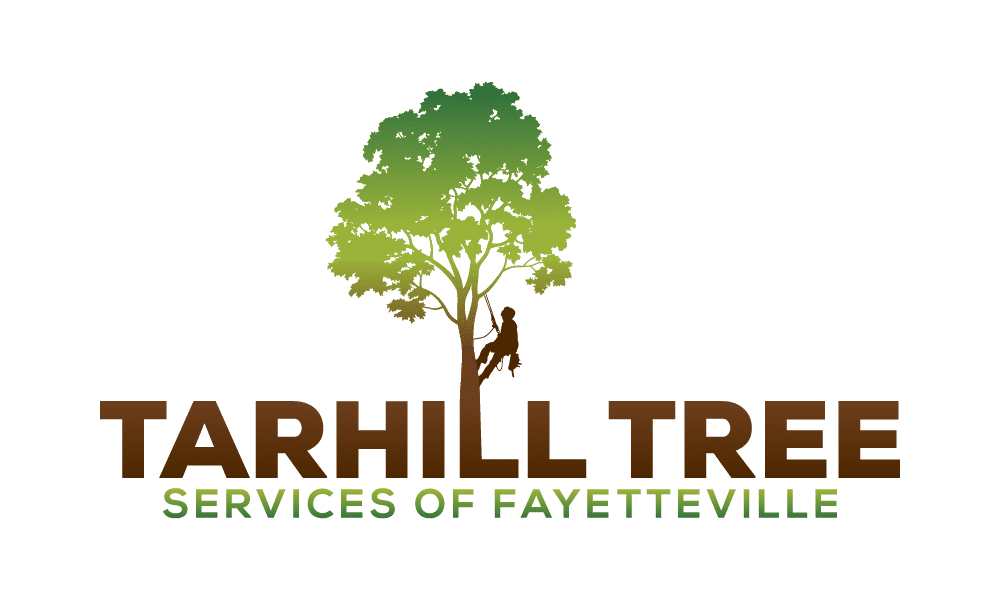 Tarhill Tree Service — tree services in Fayetteville, NC