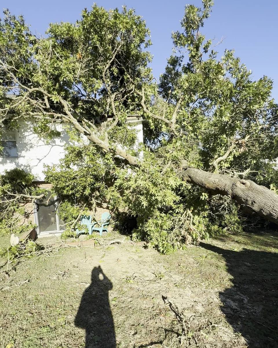 Uprooted tree on a two-story house in College Lakes, Fayetteville NC (photo from our estimate visit)