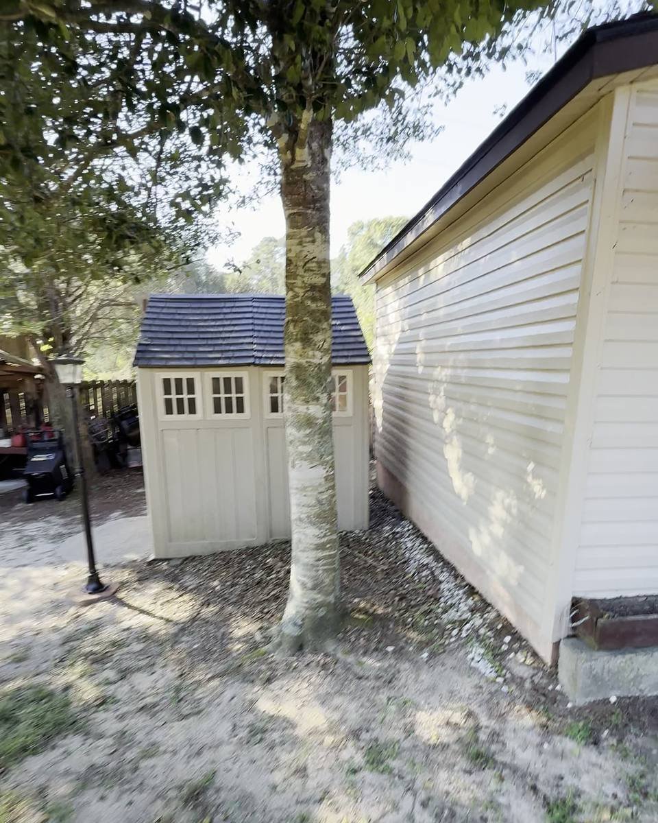 Tree squeezed between a shed and the house in Dogwood Acres, Fayetteville NC (photo from our estimate visit)