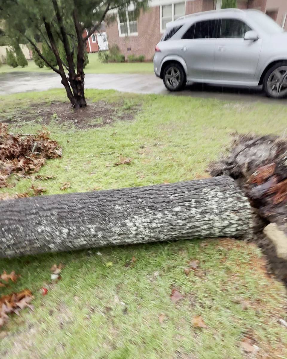 Uprooted oak on the front lawn in East Fayetteville, Fayetteville NC (photo from our estimate visit)