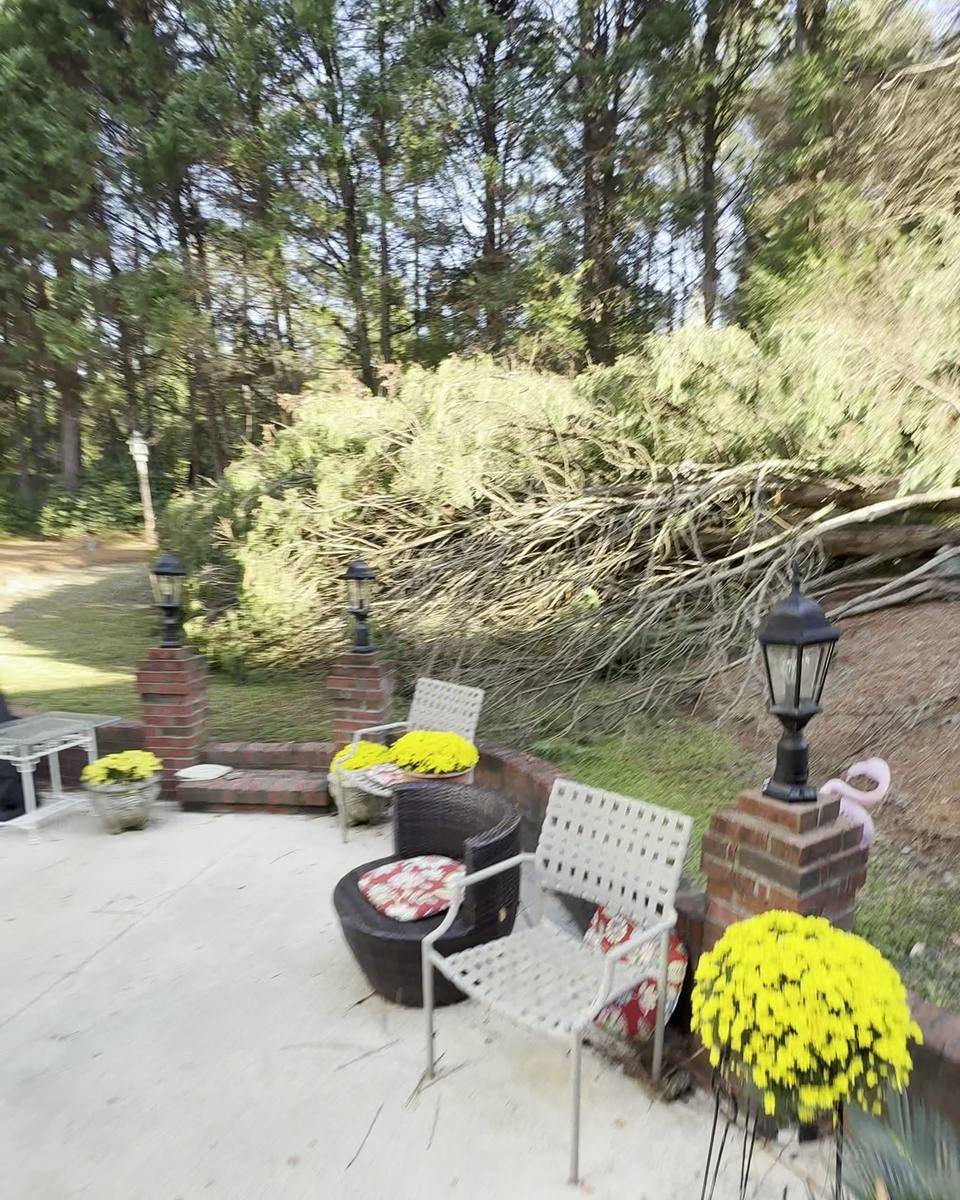 Fallen tree just past the back patio in Kings Grant, Fayetteville NC (photo from our estimate visit)