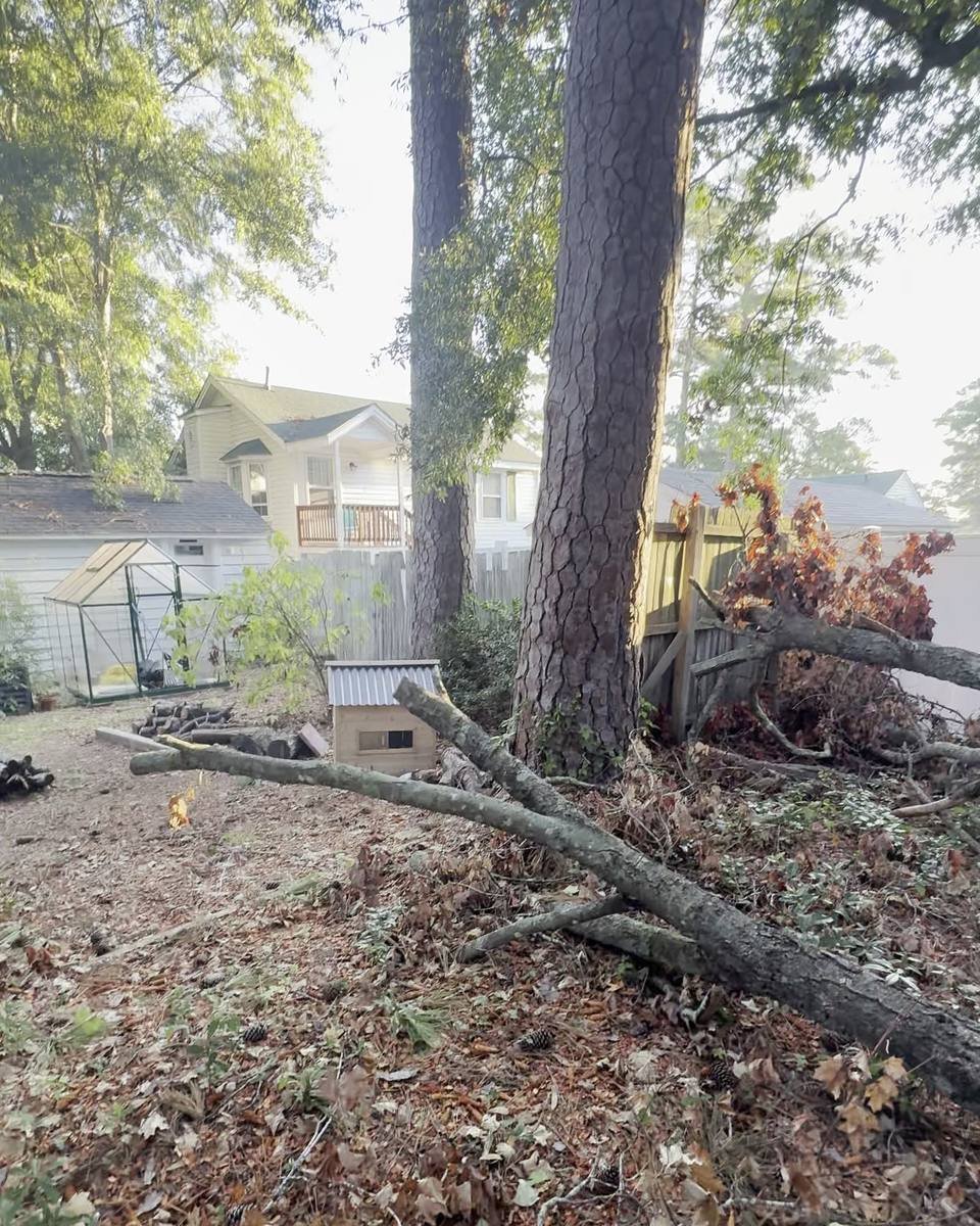 Large pine removal after storm debris in Lafayette Heights, Fayetteville NC (photo from our estimate visit)