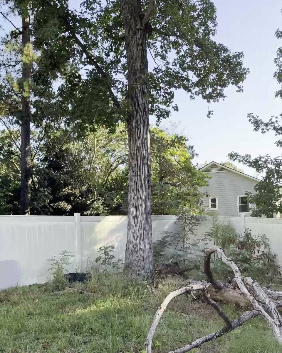 Backyard oak removal in Lake William, Fayetteville NC (photo from our estimate visit)