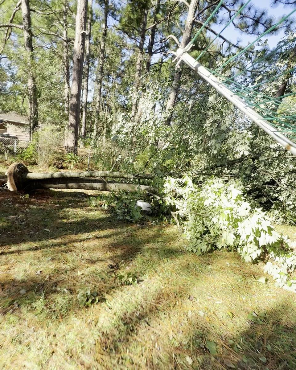 Downed tree and limb cleanup in Tiffany Pines, Fayetteville NC (photo from our estimate visit)
