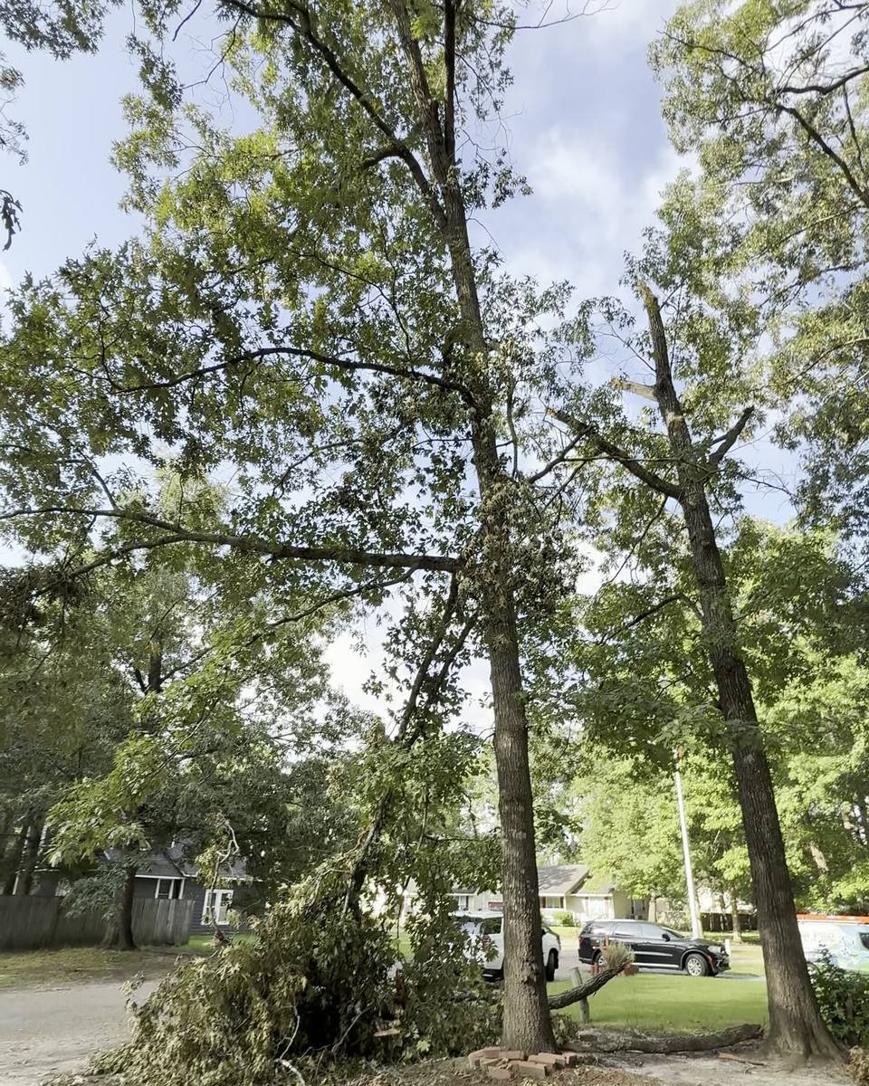 Storm-damaged tree and limb removal in Waters Edge, Fayetteville NC (photo from our estimate visit)