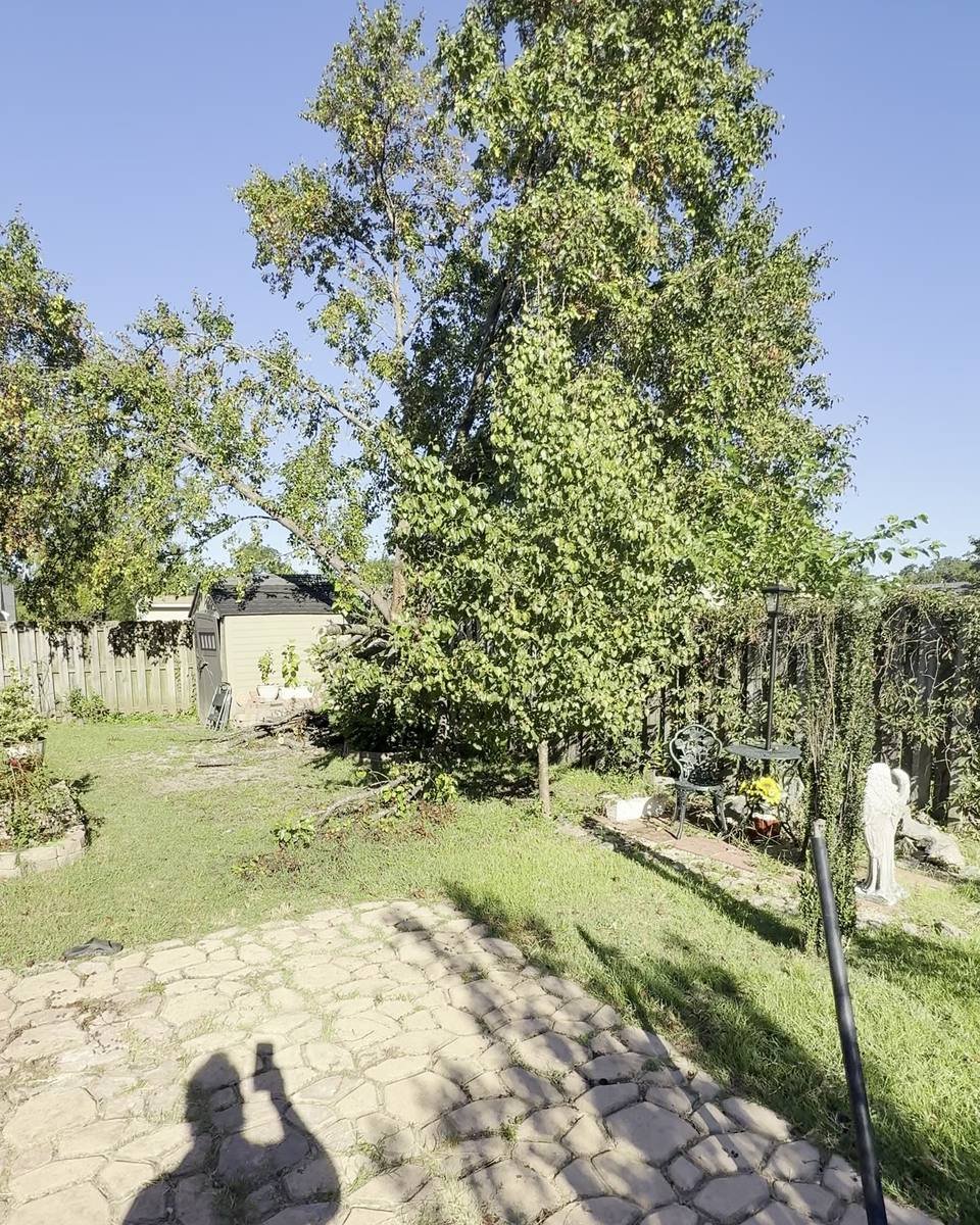 Two-tree removal and stump grinding in Wessex Place, Fayetteville NC (photo from our estimate visit)